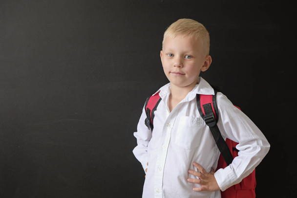 Back to school. Cute little boy at blackboard. Child from elementary school with bag. Education concept. - Foto, imagen
