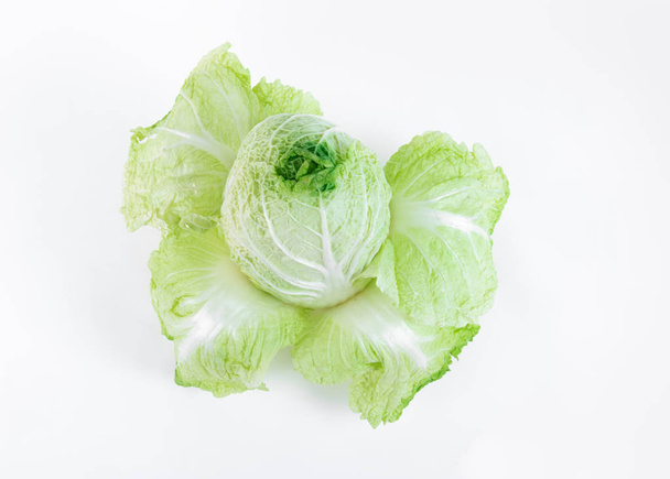 cabeza de col china fresca y orgánica sobre fondo blanco, vista superior
 - Foto, Imagen