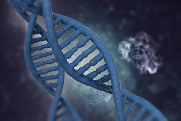DNA molecules on medical background in 3D illustration. - Photo, Image