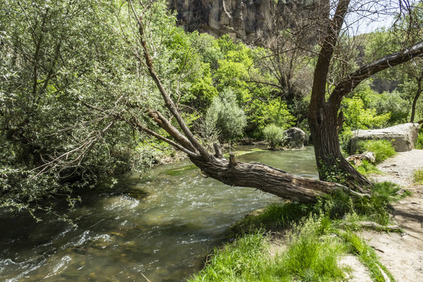 Ihlara,Aksaray,Turkey-May 30,2019.Ihlara Valley (Peristrema Monastery) or Ihlara Gorge is the most famous valley in Turkey for hiking excursions. Green nature view from Ihlara valley - Foto, afbeelding