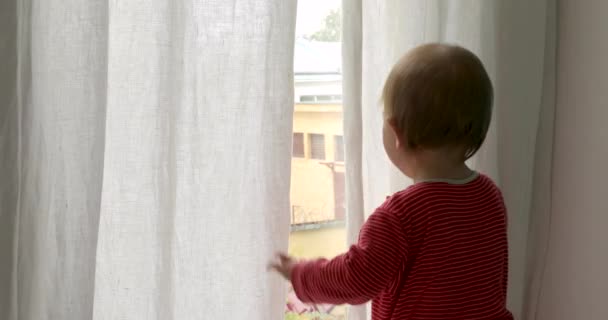 Baby looking out of window - Footage, Video