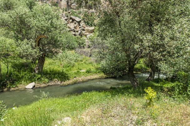 Ihlara,Aksaray,Turkey-May 30,2019.Ihlara Valley (Peristrema Monastery) or Ihlara Gorge is the most famous valley in Turkey for hiking excursions. Green nature view from Ihlara valley - Fotoğraf, Görsel