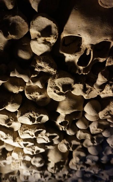 Emberi csontok és koponyák, mint kalóz-textúra - Fotó, kép