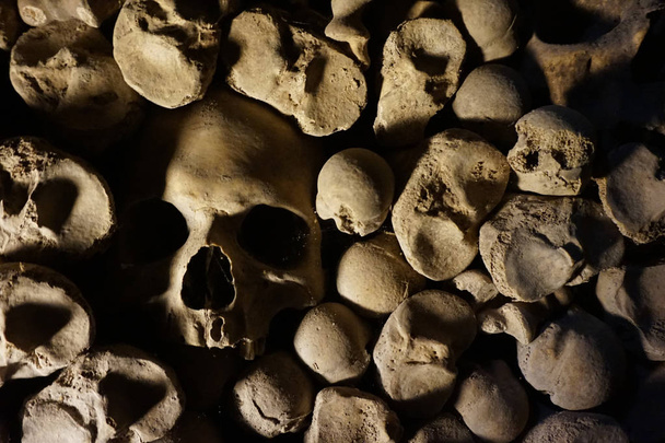 Human bones and skulls as pirate texture - Photo, Image