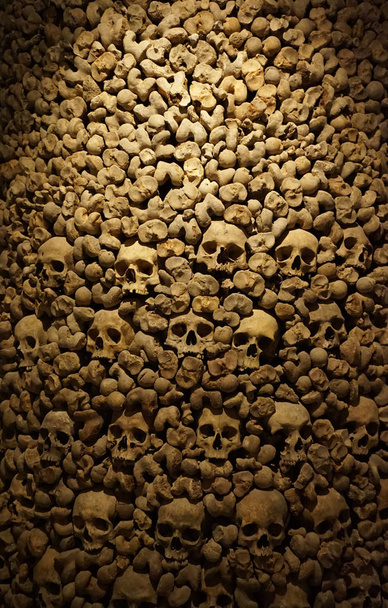 Lidské kosti a lebky jako pirátské struktury - Fotografie, Obrázek