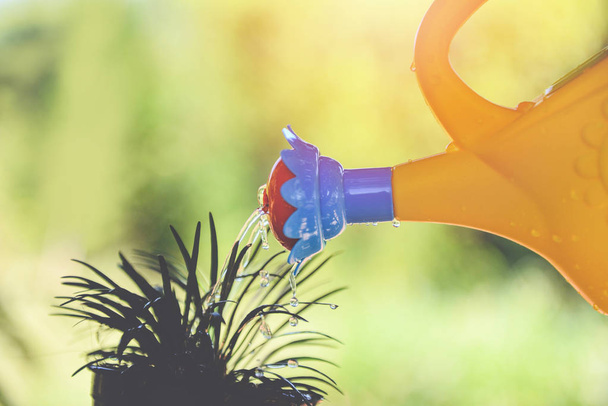 watering plant with colorful watering can on pot in the garden - - Photo, Image