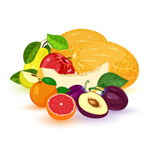 ベクターフルーツとベリー:リンゴ、梨、マンダリン、みかん、グレープフルーツ、プラム、メロン。葉と異なる果物の山 - ベクター画像