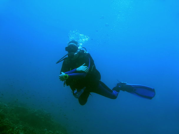 Immersioni subacquee blu nell'isola di Sipadan sabah
 - Foto, immagini