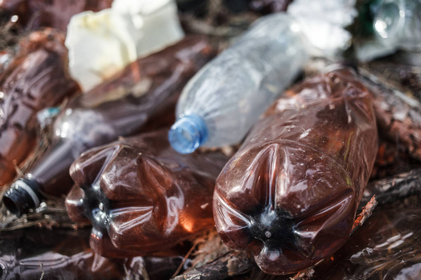 Odpadky a lidský odpad v přírodě. Plastikové láhve ležící na trávě v lese. - Fotografie, Obrázek