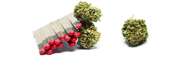 Marihuana Drogen Stillleben isoliert auf weißem Hintergrund - Foto, Bild