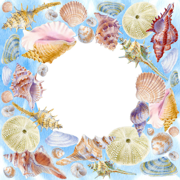 Realistic Hand Drawn Watercolor Illustration with marine  seashells. Useful background with round shape  is good for textile, greeting card, wedding invitation, wrapping, web design. - Fotoğraf, Görsel