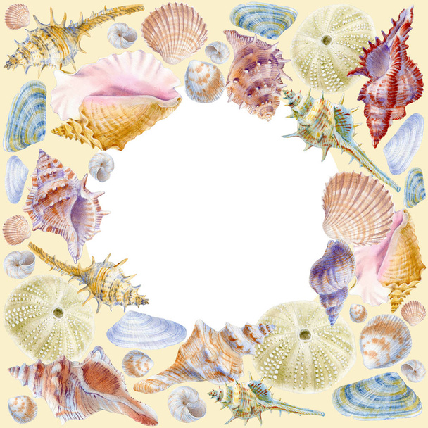 Realistic Hand Drawn Watercolor Illustration with marine  seashells. Useful background with round shape  is good for textile, greeting card, wedding invitation, wrapping, web design. - Фото, зображення