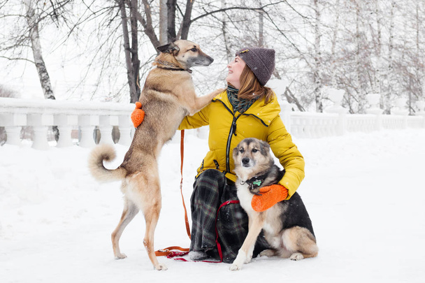 Portrait of beautiful smiling young woman with her two dogs in a snowy winter park. - Fotografie, Obrázek