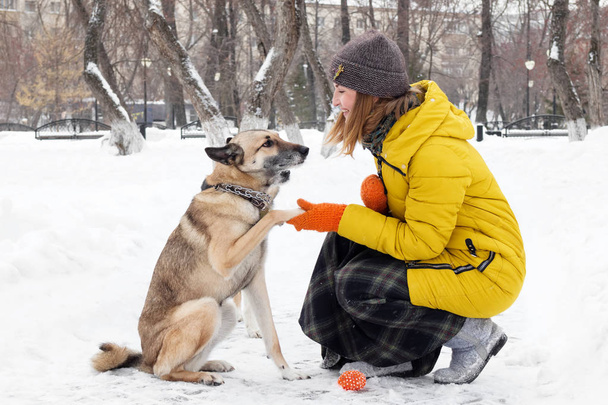 Young woman with her two dogs in a snowy winter park. The dog gives a paw to the owner. - Fotó, kép