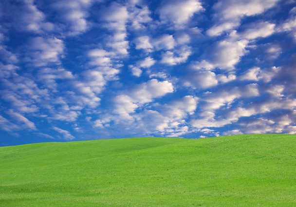 Tuin gras met prachtige hemel. - Foto, afbeelding