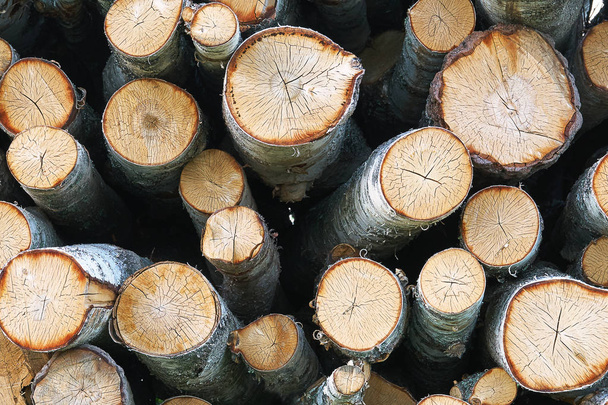 Дерев'яні вирізані колоди фону. Купка колод
 - Фото, зображення