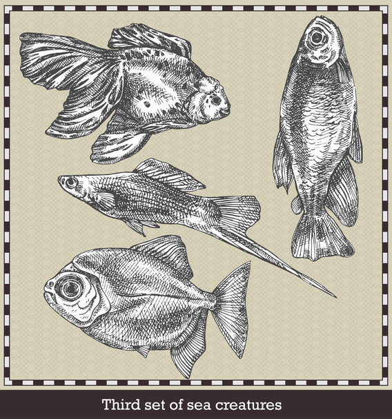 Набор морских рыб. Ретро стиль векторной иллюстрации. Изолированный на сером фоне
 - Вектор,изображение