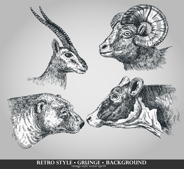 Set of animals cow, sheep, goat, bear. Vector illustration - Vector, Image
