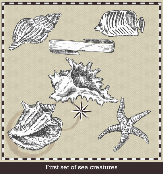 Set of sea fish,seashell and starfish. Retro style vector illustration. Isolated on grey background - Vector, Image
