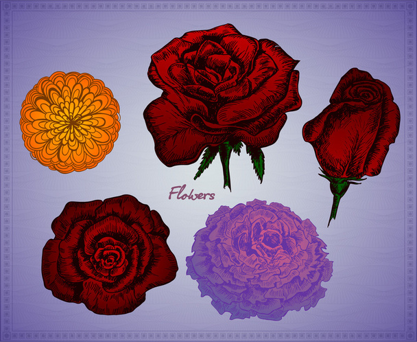 kwiaty na fioletowe tło wektor zestaw - Wektor, obraz