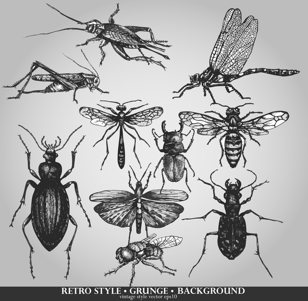 Vector set of insects on grunge background - Vector, Image