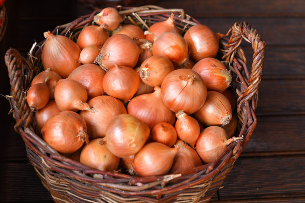 Rode uien in een houten mand. De lente-avitaminose. Groenten in een mandje, biologisch voedsel en verse groenten - Foto, afbeelding
