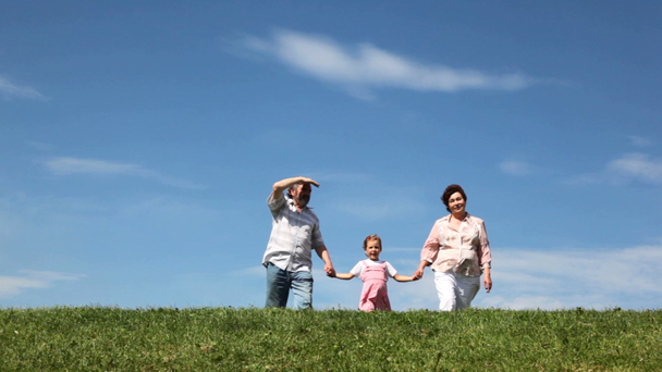 夫婦と孫娘草が茂った丘の上に出て何か示す - 映像、動画