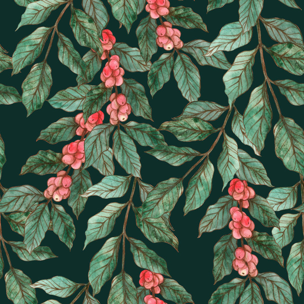 Watercolor seamless pattern of coffee branches with red coffee  fruits. - Valokuva, kuva