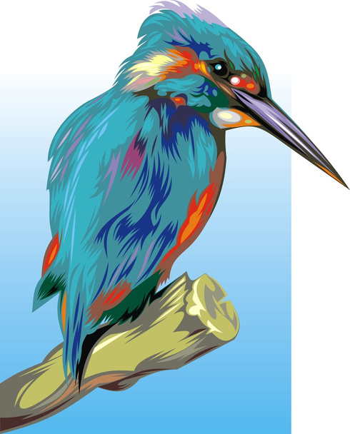 Kingfisher - Vektör, Görsel