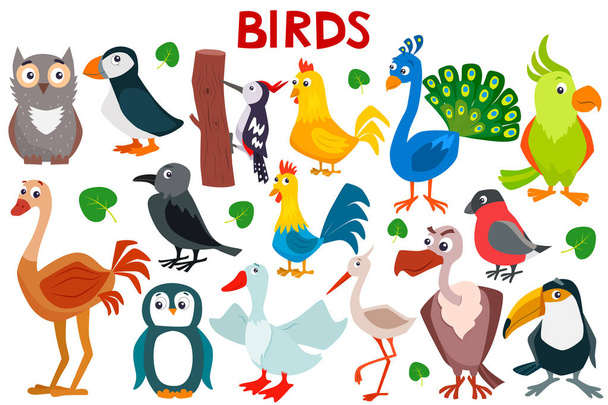 Conjunto de pássaros de desenhos animados bonitos. Ilustração plana vetorial. - Vetor, Imagem