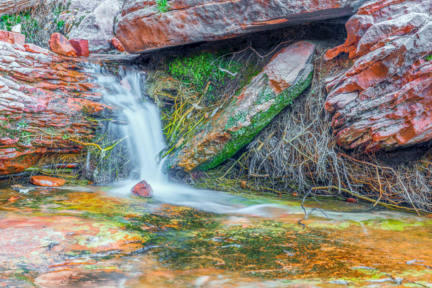 Стежка смарагдових басейнів. Водоспад. Сіон Національний парк. Юта. США - Фото, зображення