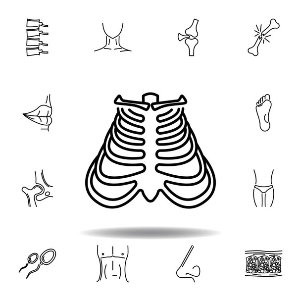 conjunto de órgãos humanos costelas delinear ícone. Sinais e símbolos podem ser usados para web, logotipo, aplicativo móvel, UI, UX
 - Vetor, Imagem