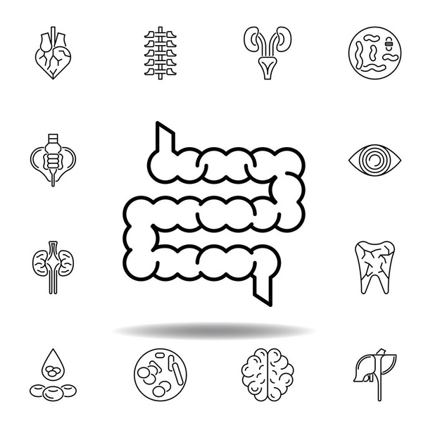 set of human organs intestine outline icon. Signs and symbols can be used for web, logo, mobile app, UI, UX - Vector, Image