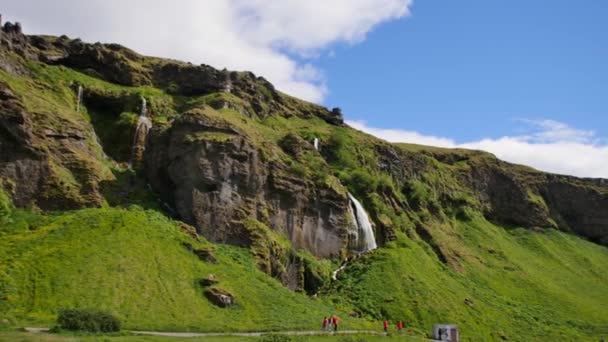 De beroemdste waterval van IJsland. Majestueuze Seljalandsfoss in warm zomerlicht. - Video