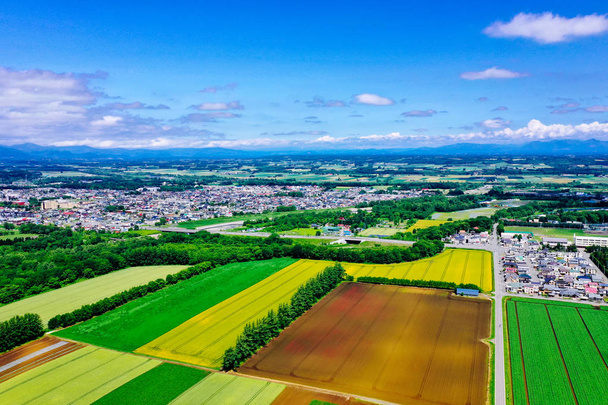 landscape in memuro hokkaido - Foto, Bild
