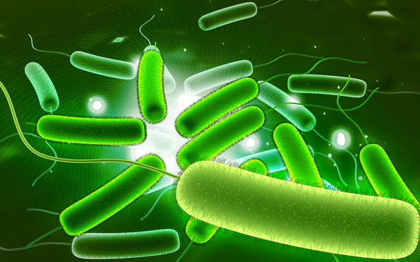 Coli bactérias
 - Foto, Imagem