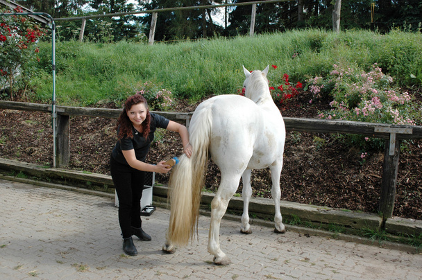 A woman caring for a horse. - Фото, зображення