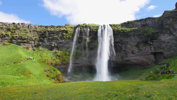 Nejznámější vodopád na Islandu. Majestátní Seljalandsfoss v teplém letním světle. - Záběry, video