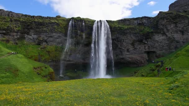 Najbardziej znany wodospad na Islandii. Majestatyczny Seljalandsfoss w ciepłym letnim świetle. - Materiał filmowy, wideo