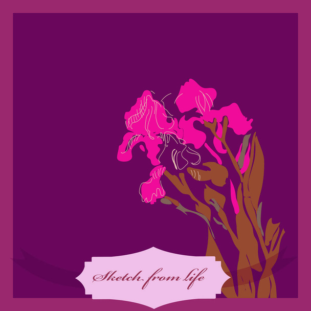 Card of colored branch of irises, label - Vettoriali, immagini