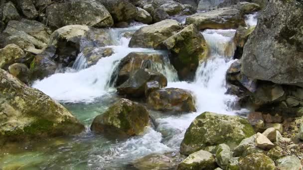 Beautiful mountain stream - Footage, Video