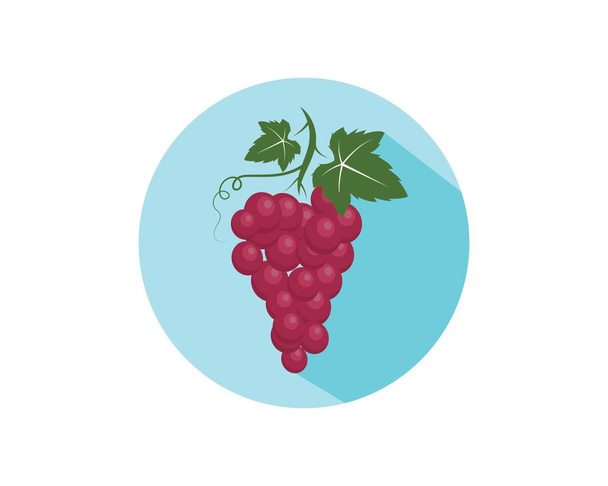 Frutos de uva com ilustração de vetor de ícone de folha
  - Vetor, Imagem