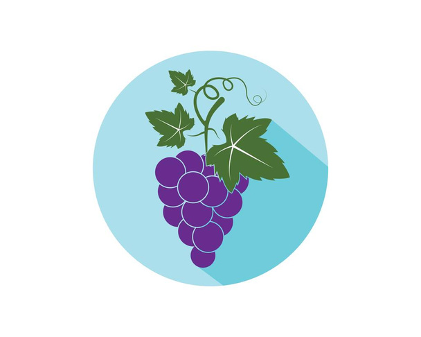 Плоды винограда с векторной иллюстрацией листа
  - Вектор,изображение