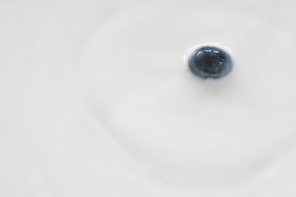 drop blueberry into milk - Photo, image