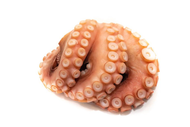 Gekookte octopus (Tako) voor sushi op witte achtergrond  - Foto, afbeelding