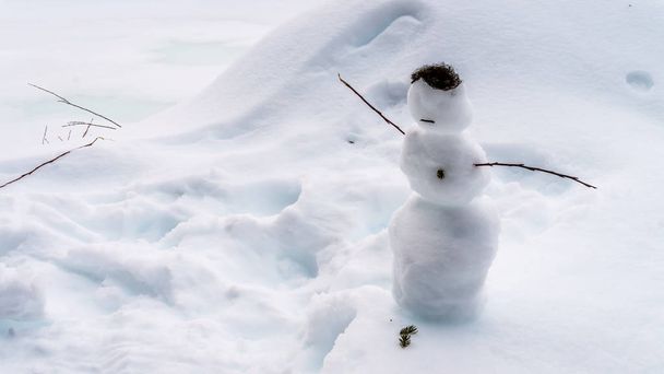 Маленький снеговик с ветками в руках и мохом в волосах.
 - Фото, изображение