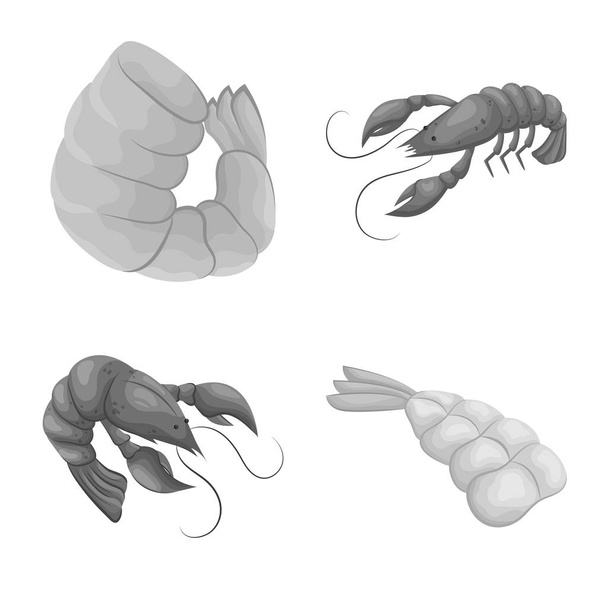 Vector illustration of crab and appetizer icon. Collection of crab and sea stock vector illustration. - Вектор, зображення