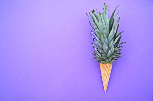 Stonek ananasu v zmrzlině na monochromatickém pozadí jako symbol ananasové zmrzliny jako ovocný osvěžení v létě - Fotografie, Obrázek