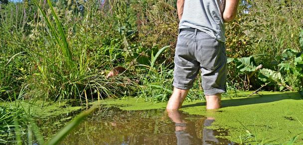 Κοντινό-up στα πόδια-ο άνθρωπος τρέχει το καλοκαίρι μέσα από ένα μικρό ποτάμι όπου τα φυτά μεγαλώνουν  - Φωτογραφία, εικόνα
