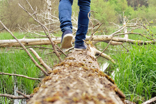 primer plano de piernas en jeans, caminando en la naturaleza
  - Foto, Imagen
